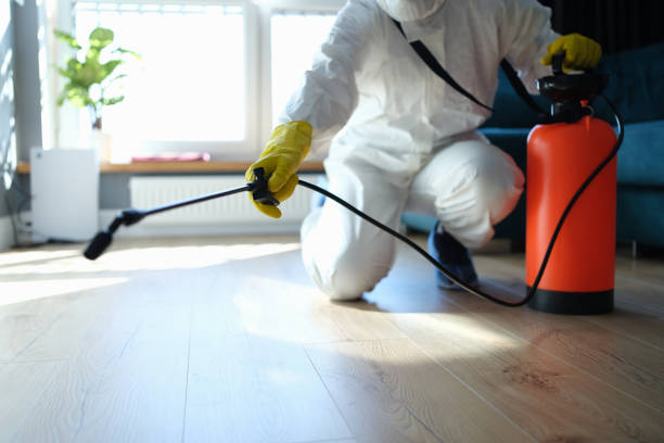 Reliable Odor Removal contractor in Taylor, AZ by Trauma Clean Pros